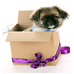 Подарочная упаковка: картонные коробки, пакеты, мешочки из ткани