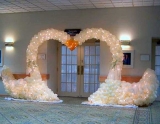 Свадебная арка "Лебеди"