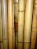 Бамбуковый ствол (натуральный)
