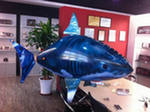 Летающая акула - пример использования в офисе